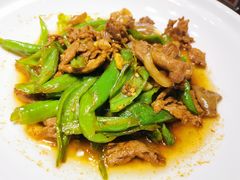 辣椒炒宁乡花猪肉-田趣园长沙菜(天安云谷店)