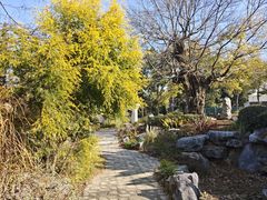 -东湖落雁景区