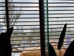 -阿斯牛牛·凉山菜(新会展店)