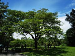 -中国科学院西双版纳热带植物园