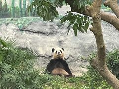 -石排湾郊野公园