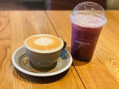 -Wagas沃歌斯(汇智店)