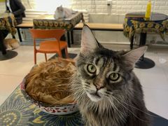 -平行世界·猫咖(首经贸店)