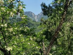 -泰山风景名胜区