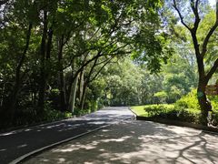 -白云山风景名胜区