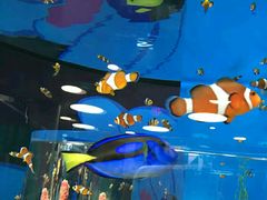 -瑞普利水族馆