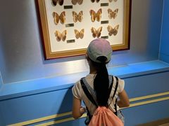 -上海昆虫博物馆