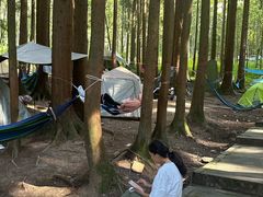 -武陵山森林公园