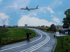-空港花田景区