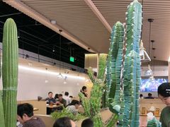 -醉得意·山茶油炒土鸡(泰安吾悦广场店)