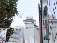-新加坡乌节希尔顿酒店 (SG Clean)