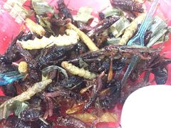 -席娜卡琳火车铁道夜市