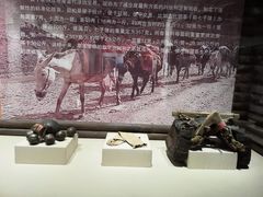 -迪庆藏族自治州博物馆