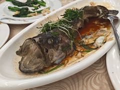 -湛江渔港·大排档(乐园路总店)