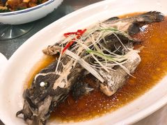 -聚春园自助餐厅(东街口店)