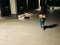 -雅达·阳羡溪山小镇中心