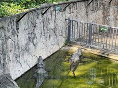 -深圳野生动物园