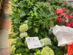 -秦美花卉(天朗·莱茵小城2期店)
