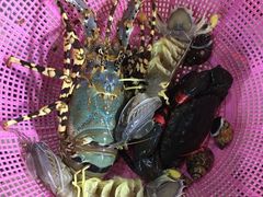 -班赞海鲜市场