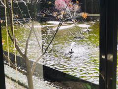 -锦江都城经典达华静安寺酒店·餐厅