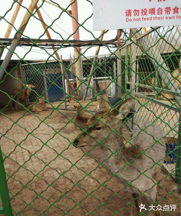 肥肠肥肠想出去玩