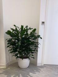 -天津伊美尔医疗整形美容专科医院