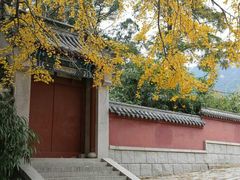-青岛崂山太清宫