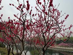 -南长河公园