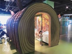 -北京科学中心儿童乐园