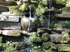-老木棉·匠园
