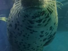 -左海海底世界