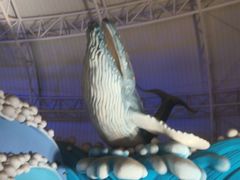 -烟台海昌鲸鲨海洋公园