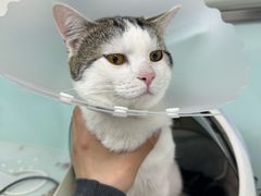 -达爱动物医院·犬猫分区·CT·复杂眼科(远洋山水分院)