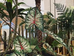 -KingThaia金泰兰(滨江天街店)