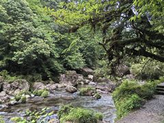 -龙苍沟森林公园