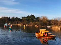 -吴淞炮台湾湿地森林公园烧烤区