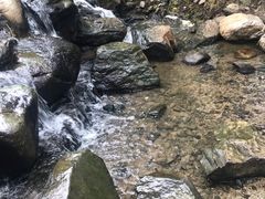 -白水寺森林公园