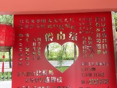 -广东花都湖国家湿地公园