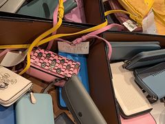 -COACH蔻驰(恒隆广场店)