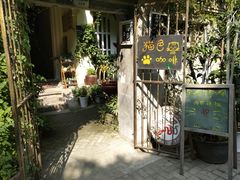 -猫色咖啡·猫咖