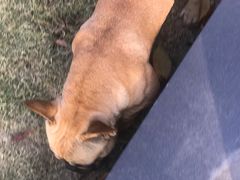 -程十发艺术馆