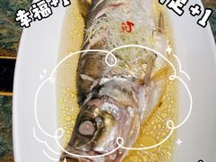 苏帮清蒸白鱼（无鳞）（藤椒豉油蒸）-苏帮袁Sue Cuisine(南开大悦城店)