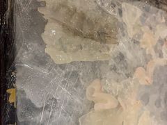 鱼生-官塘锋记鱼生·生腌·砂锅粥(牌坊街店)