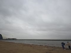 -碧海金沙
