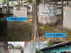 -东湖小天池真人CS彩弹野战基地