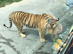 -西安秦岭野生动物园