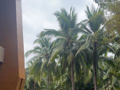 -三亚湾海居铂尔曼度假酒店