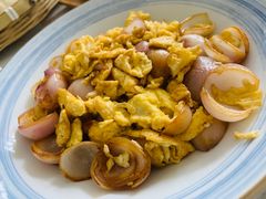 洋葱炒鸡蛋-食家鸽园