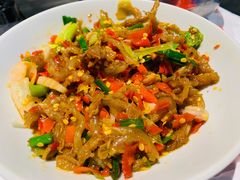 鸭掌筋-壹盏灯(惠农店)