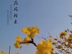 -松山湖风景区松湖烟雨
